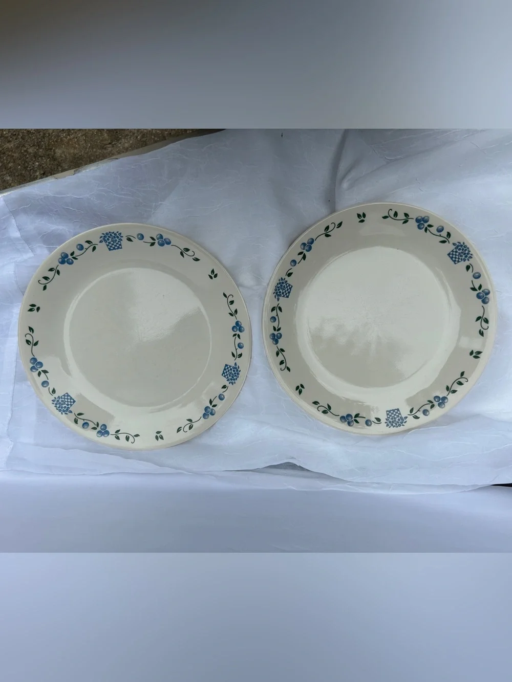 2 Corelle Blueberry Bouquet Dinner Plates